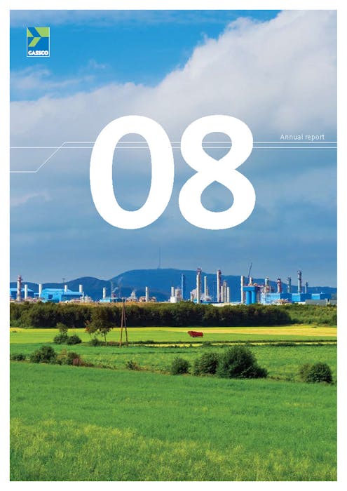 annual_report_2008_eng