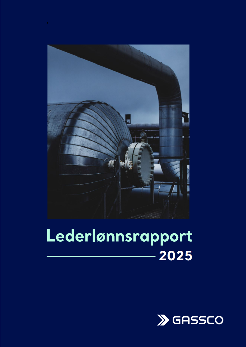 forside lederlønnsrapport
